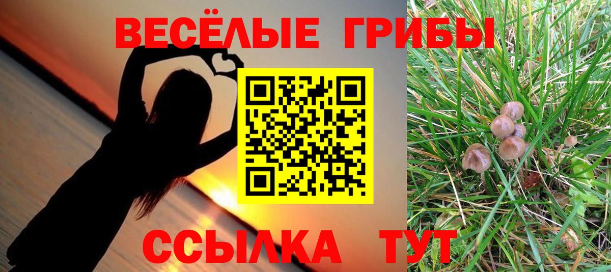 Галлюциногенные грибы мицелий Ливны